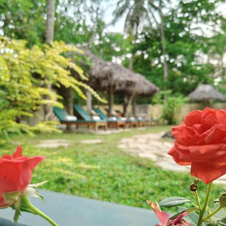 Marari Beach Bungalow Resort Alleppey Mararikulam Esterno foto