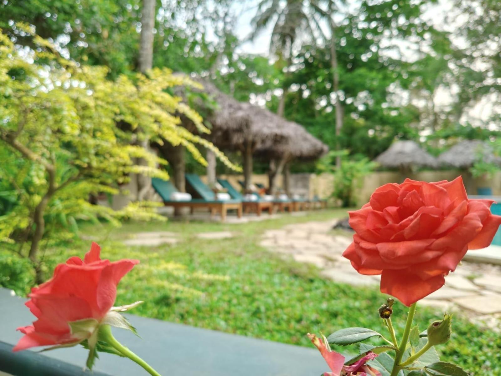 Marari Beach Bungalow Resort Alleppey Mararikulam Esterno foto